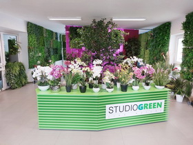 showromm STUDIOGREEN